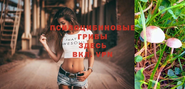 PSILOCYBIN Новозыбков