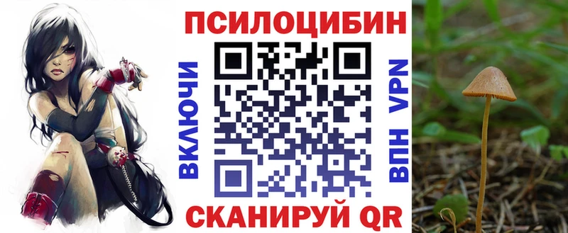 где купить   Нытва  Псилоцибиновые грибы мухоморы 
